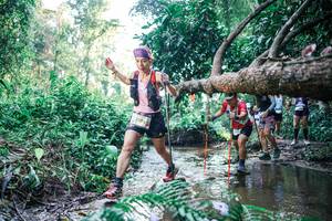 BIB: 
                            <button type="button" onclick="openModal(25441403)" class="btn btn-primary btn-sm float-right btn-popup" data-toggle="modal" data-target=".modal-high-quality">
                        <i class="fas fa-shopping-cart"></i> Add to Cart
                    </button>
                                            <button type="button" onclick="isThisMe(25441403, true)" class="btn btn-success btn-sm float-right btn-popup btn-isme hidden" data-toggle="tooltip" data-placement="bottom" title="นี่คือรูปของคุณใช่ไหม คลิกที่นี่เพื่อเอาเข้าอัลบั้ม">
                        <i class="fas fa-plus"></i> Add to album
                    </button>
                    <button type="button" onclick="isThisMe(25441403, false)" class="btn btn-warning btn-sm float-right btn-popup btn-isnotme hidden">
                        <i class="fas fa-ban"></i> Remove from album
                    </button>